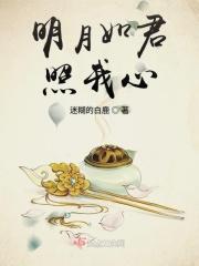 明月照君心全文阅读
