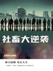 社畜瞬间
