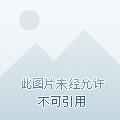 战鹰围棋段位